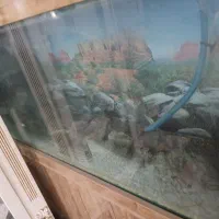 آکواریوم شیشه خم شرکتی