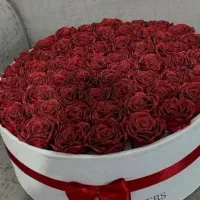 گل رز|گل مصنوعی|قم, صفائیه|دیوار