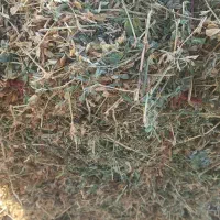 پرس یونجه خشک و مرغوب ...