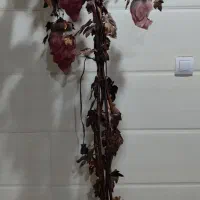 اویز دکوری
