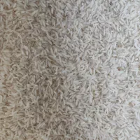 فروش برنج طارم هاشمی قیمت توافقی|خوردنی و آشامیدنی|قائم‌شهر, |دیوار