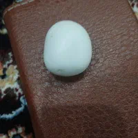 سنگ اسیاب|جواهرات|سنندج, |دیوار