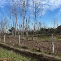 زمین-باغی-به-متراژ-250-متر