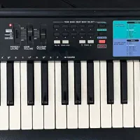 ارگ ( کیبورد ) CASIO CA-100