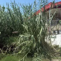14-times-20-بافت-کامل-با-سند