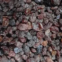 کشمش خوب و زیبا و قیمت پایین