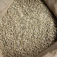 قهوه دانه سبز (گرین بین)