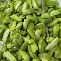 باقالی تازه سبز  سبز