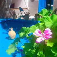 عمارت ویلایی. دربستی|اجارهٔ کوتاه‌مدت ویلا و باغ|سبزوار, کاشفی شمالی (دادگستری)|دیوار