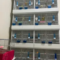 قفس پرنده