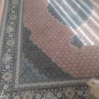 فرش ۱۲متری و ۶متری|فرش|هشتگرد, فاز ۱ مهستان|دیوار