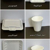 پلاستیک علی(لوازم مصرفی رستوران و کترینگ)