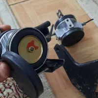 شیر زانتیا