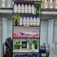 1 فاکتور زن خانم در عمده فروشی عطر