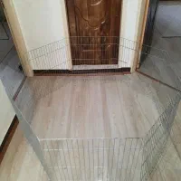 پارک و وسایل سگ