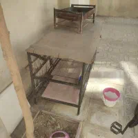 قفسه مرغ وپرنده نو و.رنگ شده|لوازم جانبی حیوانات|ایلام, |دیوار