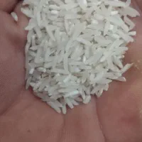 برنج فجر ونیدانه