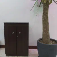 جاکفشی