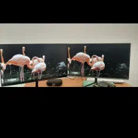 مانیتور شیاومی ۲۳/۸ اینجا