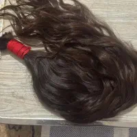حضوری یا سالن