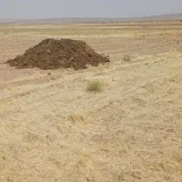 کود حیوانی.گاوی.گوسفندی.مرغی