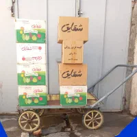 فروش کیسه فریزر رولی  و ساده