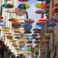 همسفر برا وان ترکیه