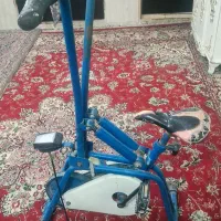 چرخ ورزشی سالم