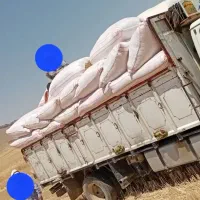 کاه گندم دیم اعلا تحویل دامداری