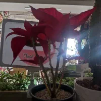 مشاوره میخوام