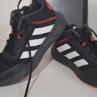 کفش والیبال اورجینال