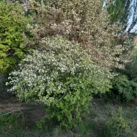 زمین-کشاورزی