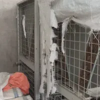 چیلر هواخنک ۲۰ تن ایتالیایی|ماشینآلات صنعتی|تهران, چهارصد دستگاه|دیوار