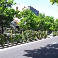 پلاک ۳۰۰ متری ارتفاع دار معاوضه با آپارتمان