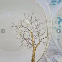 سرویس آرکوپال|ظروف سرو و پذیرایی|ساوه, |دیوار