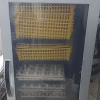 دستگاه جوجه کشی ققنوس و اسکندری