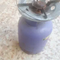 پکنیک