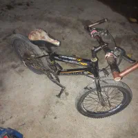 فروش دو عدد دوچرخه سالم وتمیز|دوچرخه، اسکیت، اسکوتر|طارم, |دیوار