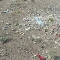 خریدار زمین در شبیشه