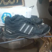 کتونی اورجینال ۳جفت