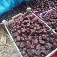 سلام سه تن مضافتی یک تن خرمایی ازاد چیز خوب دارم|خوردنی و آشامیدنی|کهنوج, |دیوار
