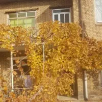ویلایی-کلنگی