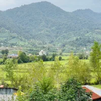۲۵۰مترزمین کوهپایه ای/جاده قلعه رودخان