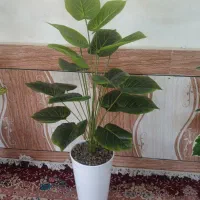 درختچه مصنوعی پتوس سبز