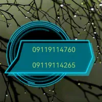 سیمکارت رند هر کدام 900 میلیون تومان