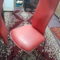 میز ناهارخوری|میز و صندلی غذاخوری|تربت‌حیدریه, باغ سلطانی|دیوار