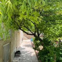 کردان شهرک حافظیه