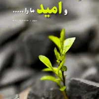 نماینده‌ی فروش لاین پوست