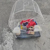 قفس پرنده
