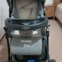 کالسکه|کالسکه و لوازم جانبی|پیر بکران, |دیوار